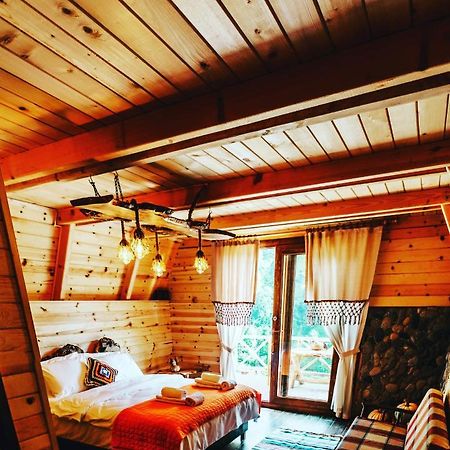 Purkinora Bungalov Çamlıhemşin 외부 사진