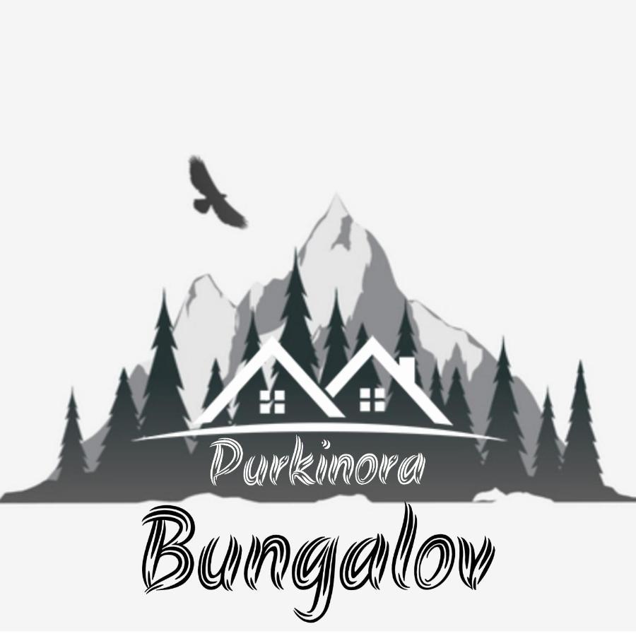 Purkinora Bungalov Çamlıhemşin 외부 사진