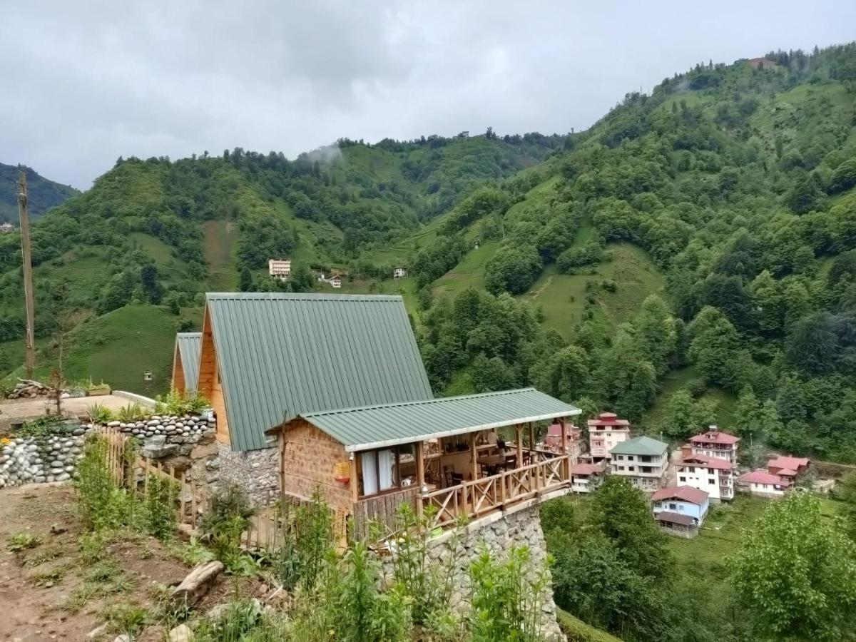 Purkinora Bungalov Çamlıhemşin 외부 사진