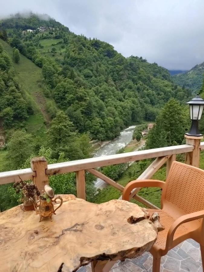 Purkinora Bungalov Çamlıhemşin 외부 사진