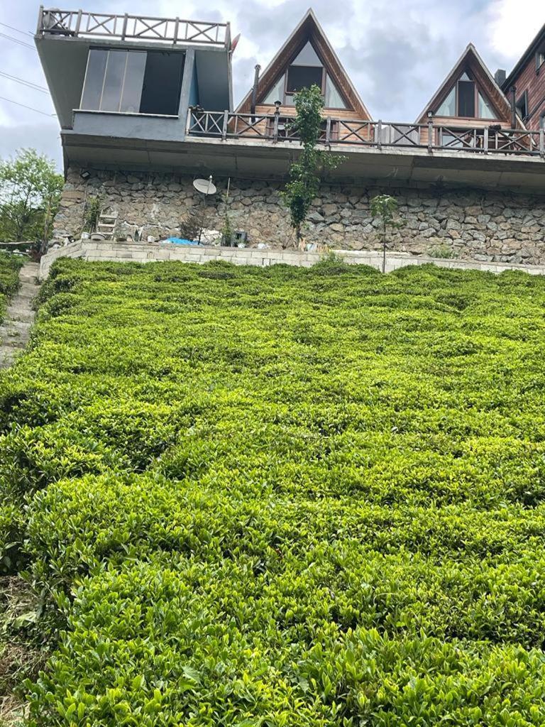 Purkinora Bungalov Çamlıhemşin 외부 사진