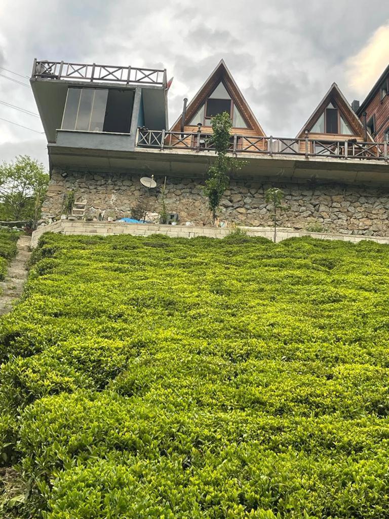 Purkinora Bungalov Çamlıhemşin 외부 사진
